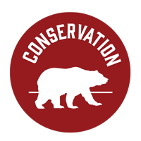 Kodiak Food Service - Conservation icon